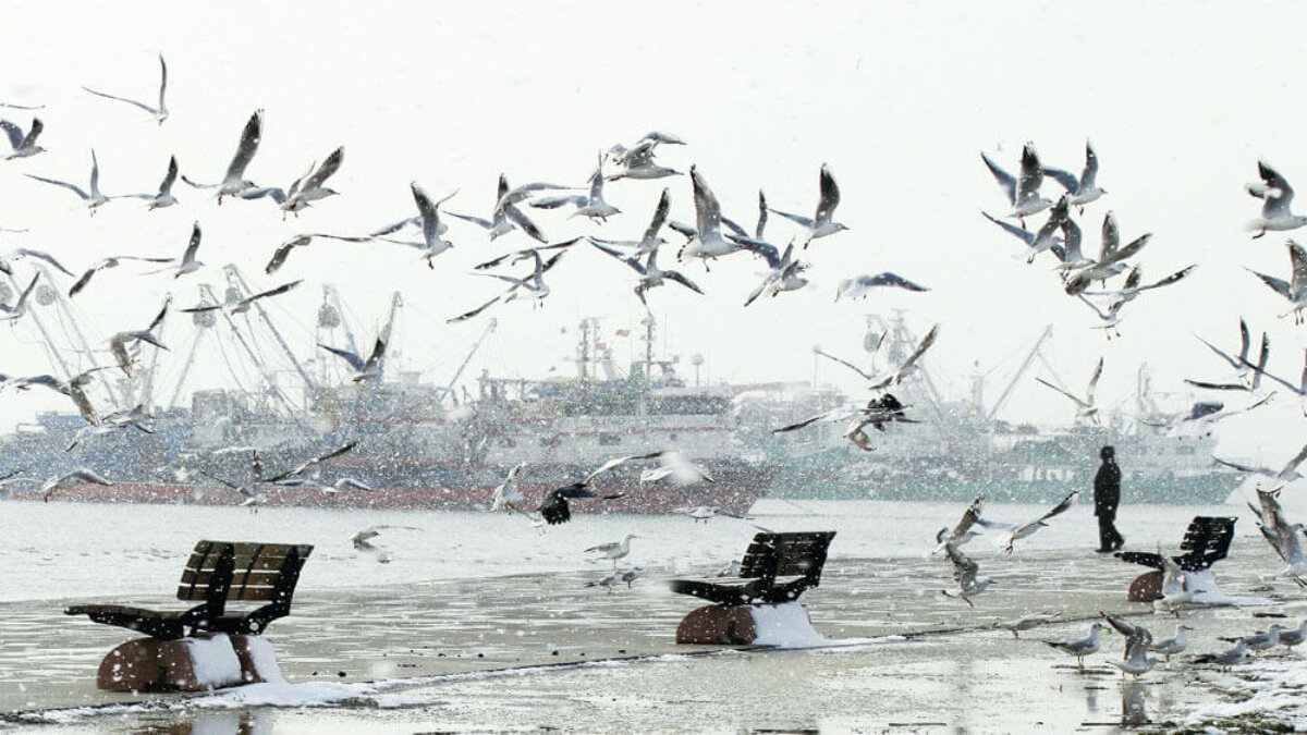 Yaşanılabilir Kentler Fotoğraf Yarışması Sonuçları