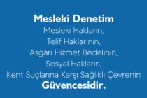 Mesleki Denetim Broşürü Güncellenmiş Şekilde Yeniden Yayımlandı