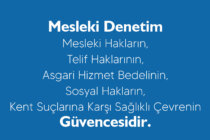 Mesleki Denetim Broşürü Güncellenmiş Şekilde Yeniden Yayımlandı