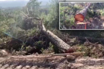 “Herkesin ‘Evrensel Hukuku’; Herkesedir!; Herkesin ‘Evrensel Hukuku’; Kendine Değil!…”