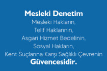 Mesleki Denetim Broşürü