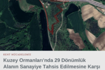 Kuzey Ormanları’nda 29 Dönümlük Alanın Sanayiye Tahsis Edilmesine Karşı Kent Mücadelemizi Başlattık!