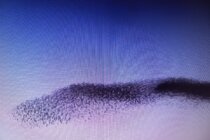 “Düşünmenin Mimarisi”nden “Mimari Düşünceye”; Uzun İnce Bir “Çok” Yol…