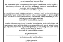 “Habitat-2 İstanbul, İnsan Yerleşimleri Konferansı, 3-14 Haziran 1996”; 30.Yılında!…