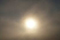 İnsanlığın “Yaşam Direnci Üretiminin Kalıcı Evrimsel Kanıtı” Olarak; “Mimari Uzayı…”